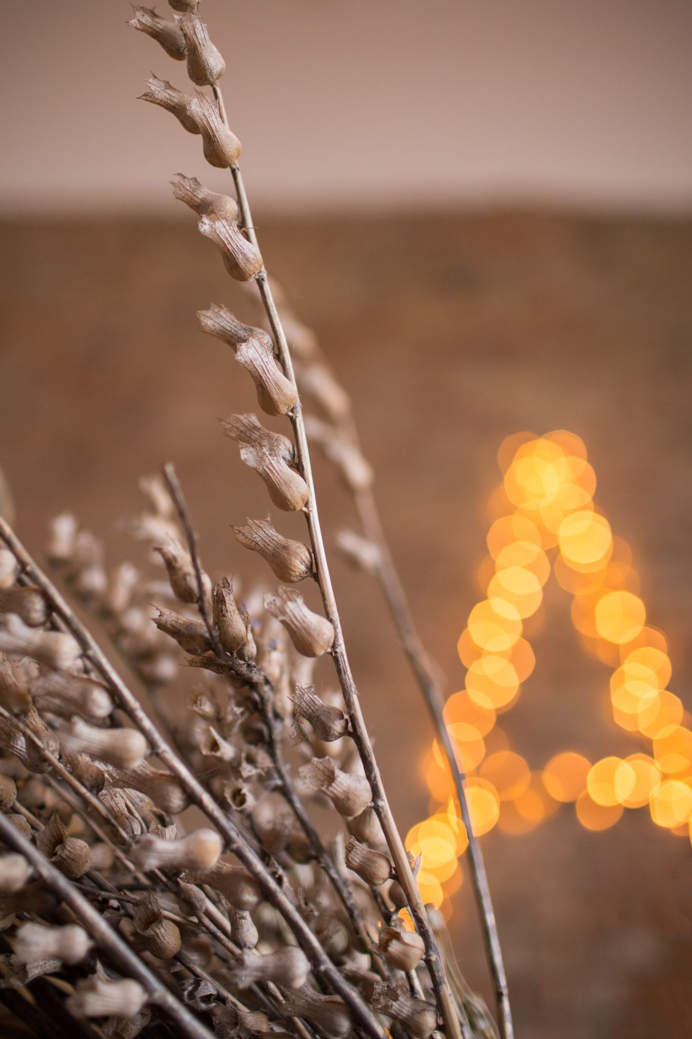 Marianna Petrenko Photography Watercolor mood 041 1